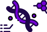 &Iacute;cono ADN